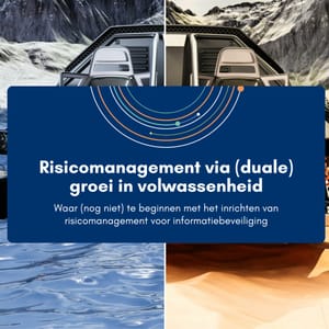 Afbeelding bij: Risicomanagement via (duale) groei in volwassenheid