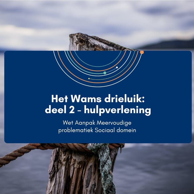 Afbeelding bij: Het Wams drieluik – hulpverlening