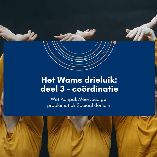 Afbeelding bij: Het Wams drieluik – coördinatie