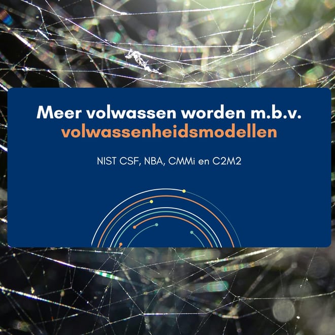 Afbeelding bij: Vier modellen voor volwassenheid